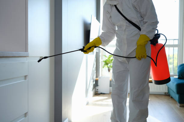 Best Mold Damage Repair  in , AK