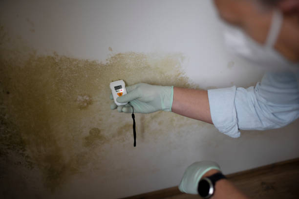 Best Crawl Space Mold Removal  in , AK