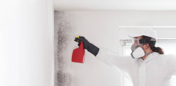 Best Toxic Mold Removal  in , AK